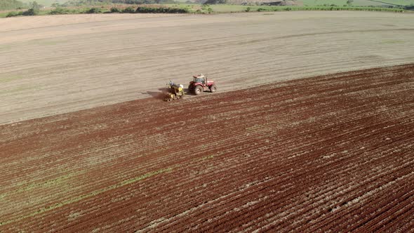 Aerial view shot of a farmer in tractor seeding, sowing agricultural crops at field