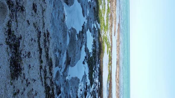 Zanzibar Tanzania  Vertical Video of Low Tide in the Ocean Near the Coast Slow Motion