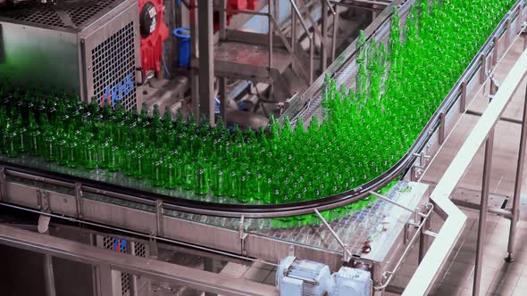 line for filling beer in a brewery. Empty green glass bottles moving on a conveyor belt in a queue a