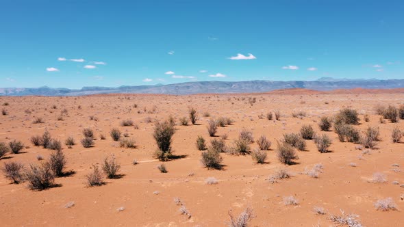 Karoo semi-desert in South Africa, drone fly over low to high