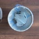 Medical Masks and Gloves Fall Into the Trash Can and Onto the Floor By - VideoHive Item for Sale
