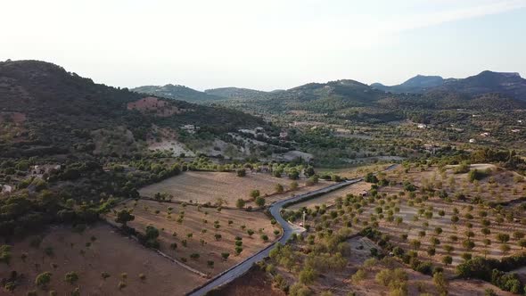 Aerial: Fields of Mallorca, Spain