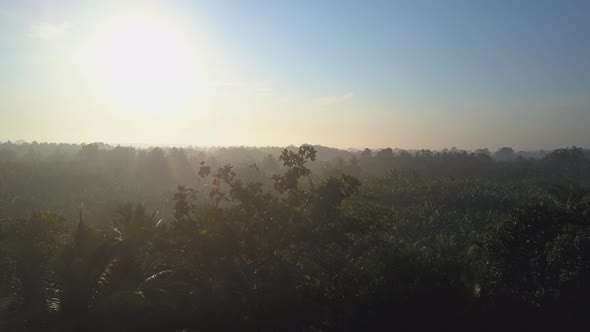 Sunlight on Sky Above Jungle in Udawalawe National Park