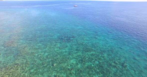 Aerial drone view of a pod of dolphins swimming over a coral reef in the Maldives.