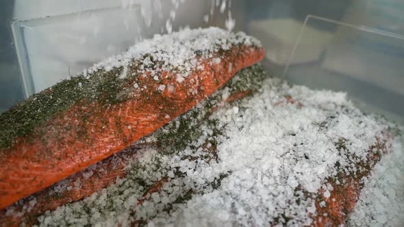 Person producing graved salmon - Sprinkling salt over fillet in plastic container slow motion