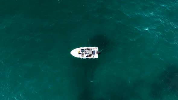 Fishing Near The Shore Sea Aerial View 4 K