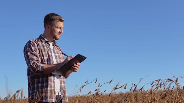 A Farmer or Agronomist in the Middle of a Mature Soybean Will Make Entries in a Tablet with