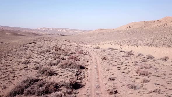 A Group of Cyclists Ride on the Steppe.