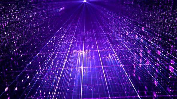 Digital Networks 05 4K