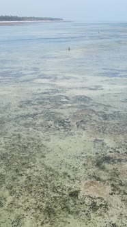 Vertical Video of Low Tide in the Ocean Near the Coast of Zanzibar Tanzania