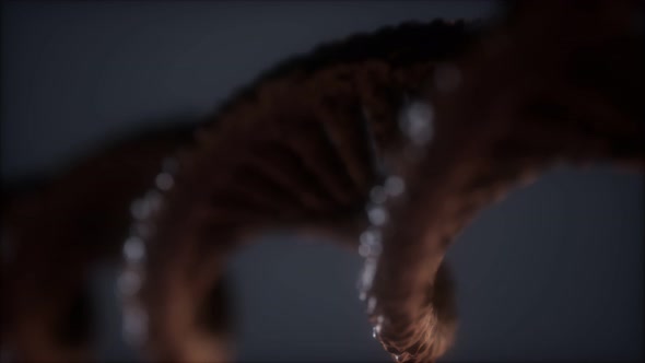 Loop Double Helical Structure of Dna Strand Close-up Animation