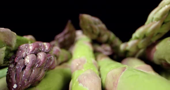 Fresh Asparagus green  healthy vegetable super macro  close up 