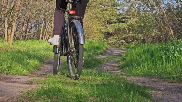 Young Woman on Bicycle Rides Along Green Forest Path in Summer Day Slow Motion