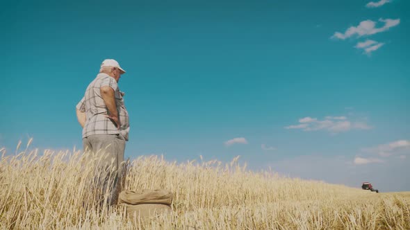 Mature Farmer Man Standing in a Wheat Field During Harvesting By a Combine, He Controls the