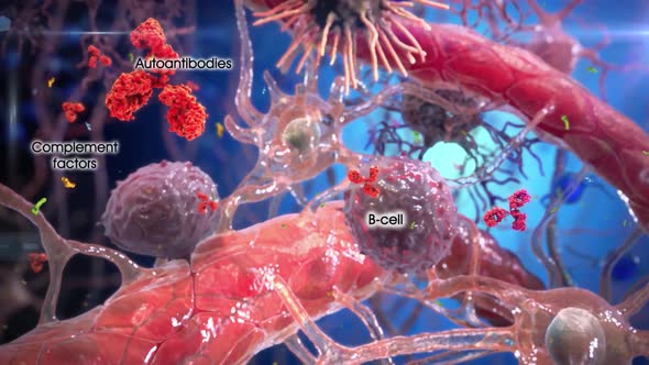 Useful cells in the meninges