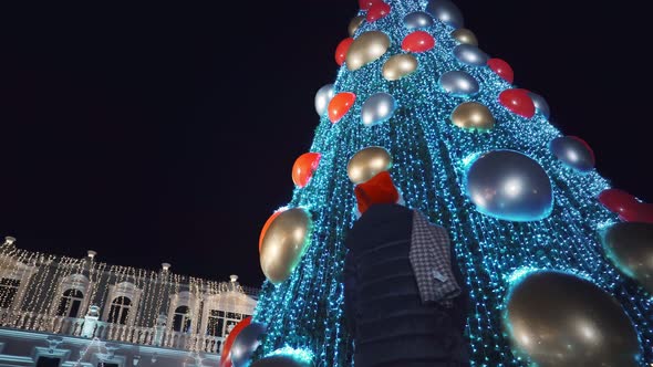 woman has her back to camera, she looks at the tall city Christmas tree