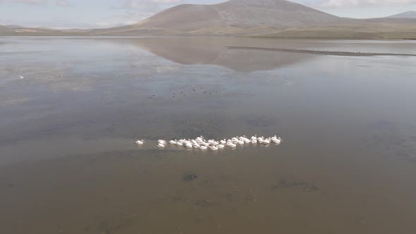 Aerial view of Madatapa lake in Javakheti National park. Georgia