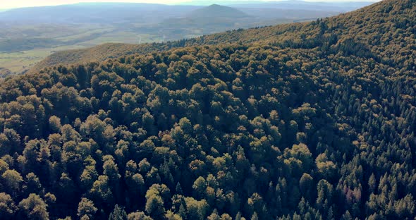 Thicket Woods On Mountains With Volcanic Lake Of Saint Ann In Transylvania, Romania. Tilt-Down