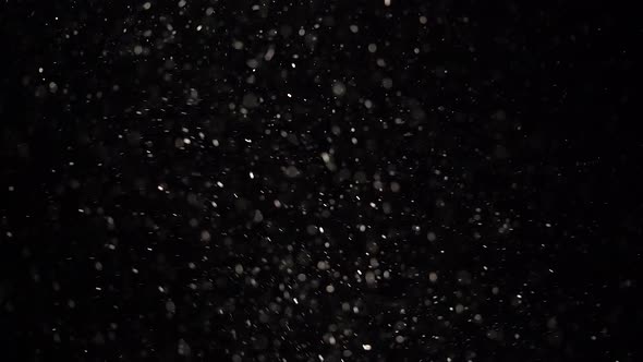 Floating Transparent Dust Particles Are Shining on a Black Background.