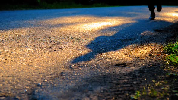 Sport Man Running at Asphalt Road. Rural City Park. Green Tree Forest and Sun Rays on Horizon.