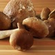 Porcini Mushrooms on the Table - VideoHive Item for Sale