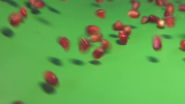 Pomegranate Grains on Green Background