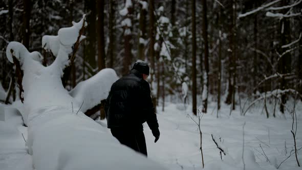 Hiking in Snowy Forest in Wintertime Sportive Man is Training in Nature or Escaped Prisoner
