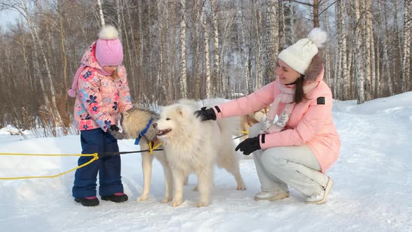 Woman with Daughter Petting Sled Dogs in Winter