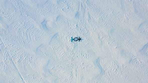 A Family Makes a Figure of a Snow Angel in a Clearing in the Forest