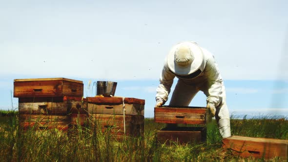 Beekeeper harvesting honey
