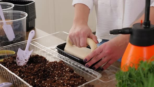 Closeup of a Woman Planting Seeds She Compresses the Soil with a Special Press