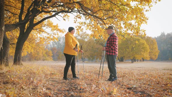 Seniors Couple Nordic Walking in Autumn Forest