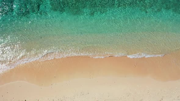 Aerial drone shot abstract of exotic island beach trip by transparent lagoon with clean sandy backgr