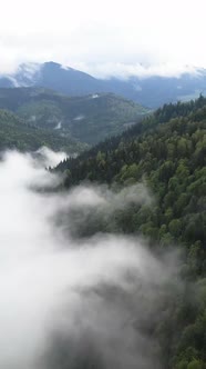 Vertical Video of Fog in the Mountains