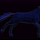 Hud Run Horse - VideoHive Item for Sale