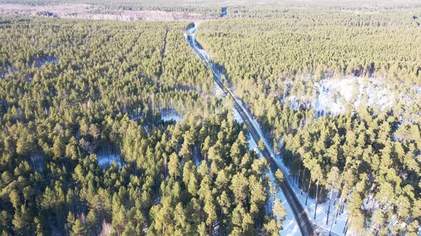 The Quadcopter Flies Over the Winter Pine Forest