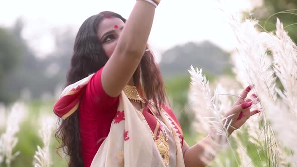 A playful and beautiful Indian bengali married woman plays with kaash phool or Saccharum Spontaneum