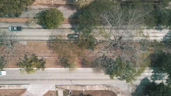 view of Avenue with railroad and trees in yucatan Mexico