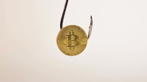 Model Belonging to Cryptocurrency Hangs on Metal Hook Macro