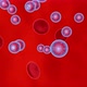 Oxygen flowing with Erythrocytes in the bloodstream. - VideoHive Item for Sale