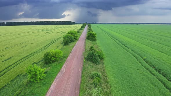 Aerial View Road Between The Field