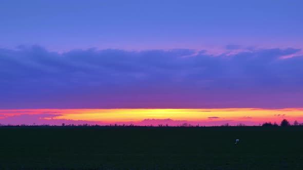 Scarlet Sunset Over the Field in Early Spring