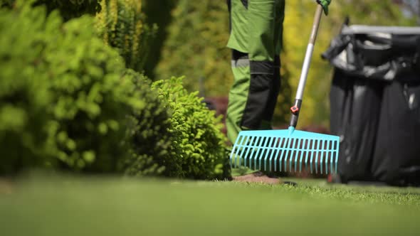 Professional Gardener Raking Grass in a Backyard Garden. 