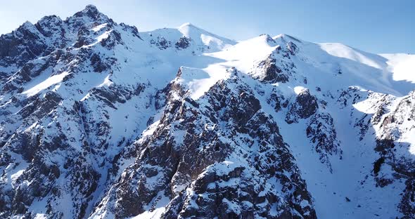 High Snowy Mountains Spruce Trees Grow in Places