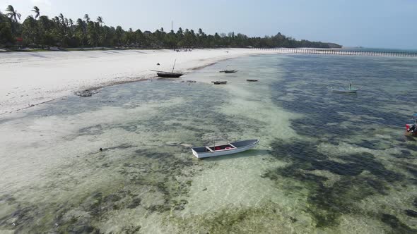 Shore of Zanzibar Island Tanzania at Low Tide