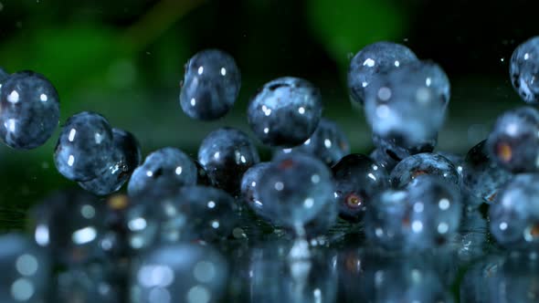 Super Slow Motion Shot of Fresh Blueberries Falling Into Water and Splashing at 1000Fps