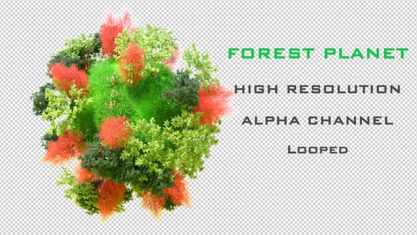 Forest World 4K alt