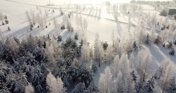 Flying Over Very Cold Morning Forest