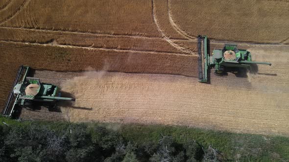 Two combine harvesters working a wheat field on a rural farm. Aerial top down view