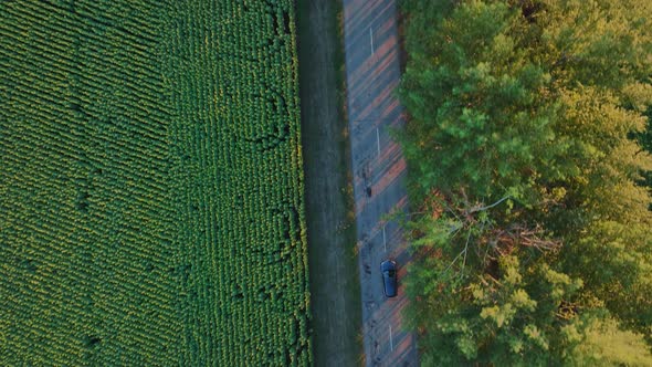 Aerial Footage of a Blue Car Driving Down a Country Road